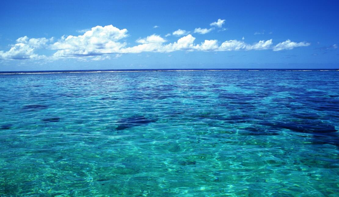 316L不銹鋼反沖洗管道發生點蝕的影響因素與解決辦法